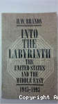 Into the Labyrinth vignette