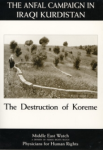 The destruction of Koreme. The forced relocation of its inhabitants, and massacre and disappearance of its men and boys, the chemical weapons attack on the village of Birjinni, and death of Farwan Tawa Mostafa, a female infant, at Beharke camp, in the course of the 1988 Anfal campaign against the Kurds of Iraqi Kurdistan by the government of Saddam Hussein vignette