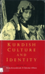 Kurdish culture and identity vignette