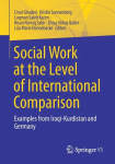 Social Work at the Level of International Comparison vignette